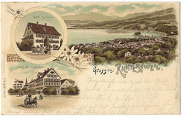 Gruss Aus RICHTERSWIL: 3-Bild-Litho Mit Hotel De L'ange Und Des Trois Rois 1898, Aushilfsstempel WOLLERAU - Richterswil