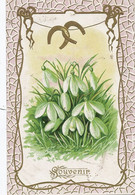 Perce Neige Gaufrée  Porte Bonheur Fer à Cheval . Snowdrop Lucky Charm Embossed - Arbres