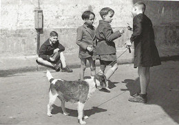 Exposition Musée De SAINT DIE DES VOSGES  -  Paul GAIDON  -  Gamins De Paris - 29 Juin - 1 Septembre 1996 - Saint Die