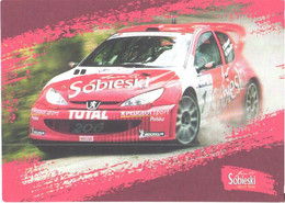 Rally Car Peugeot - Altri