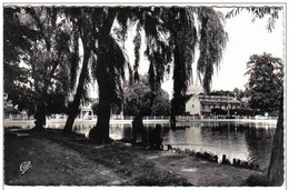 Carte Postale  78.  Saint-Remy-la-Chevreuses  Jour De Pêche Sur Le Lac  Très Beau Plan - St.-Rémy-lès-Chevreuse