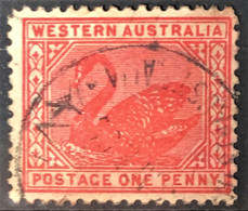 WESTERN AUSTRALIA 1890 - Canceled - SC# 62 - 1d - Usati