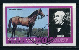 Dhufar [Block] Sir Rowland Hill | Horses, Canadian Breed - Rowland Hill