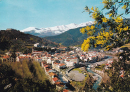 A6587- Station Thermale, Climatique Le Canigou, Roussillon Le Vallespir 1969, France Stamp Postcard - Roussillon