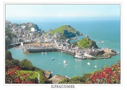 THE HARBOUR, ILFRACOMBE, NORTH DEVON, ENGLAND. UNUSED POSTCARD  Ac3 - Ilfracombe