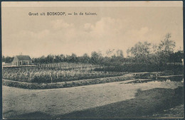 Groet Uit Boskoop, In De Tuinen / In The Garden, Horticulture - Boskoop