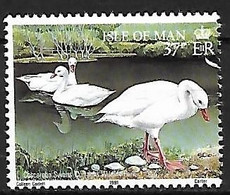 Isle Of Man - MNH ** 1991 :  Coscoroba Swan  -  Coscoroba Coscoroba - Cigni