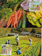 Brazil 2014 Complete Set With 2 Maximum Card International Year Of Family Farming - Alimentation