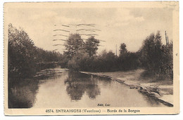 L30E237 - Entrigues - 4574 Bords De La Sorgue - Entraigue Sur Sorgue