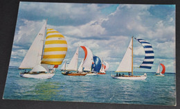 Sea, Sky And Sail * Yachts Known As "Solent Butterflies" Are Racing In The Solent Off Cowes - Cowes