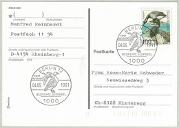 Deutschland 1991, Postkarte Ersttag Berlin - Hinteregg (Schweiz), Ringelgans / Branta Bernicla, Bedrohte Seevögel - Oche