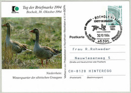 Deutschland 1994, Ganzsachen-Karte Tag Der Briefmarke Bocholt - Hinteregg (Schweiz), Graugans / Anser Anser - Ganzen