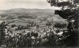 LE MALZIEU VILLE VUE GENERALE - Sonstige & Ohne Zuordnung