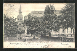 AK Weissenfels, Blick Auf Die Promenade - Weissenfels