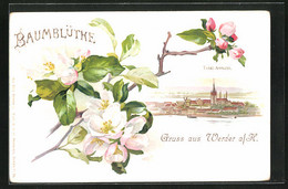 Lithographie Werder A. H., Totalansicht Mit Baumblüthe - Werder