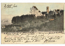 Gruss Aus MIDELHEIM Schloss Mindelburg Ed. Ziek, Envoi 1901, Dos Simple, Colorisée - Mindelheim