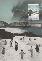 Australian Antarctic Territory  2014 Antarctic Expedition,a Summer Idyll,maximum Card - Maximumkarten