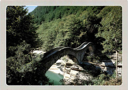 Ponte Dei Salti - Lavertezzo - Valle Verzasca (12974) - Lavertezzo 