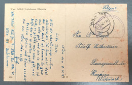 Allemagne Carte Postale - Feldpost De Wien 1.11.1943 - (A1276) - Lettres & Documents