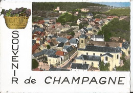 CPSM - Souvenir De Verzy - Souvenir De Champagne - Vue Aérienne - Verzy