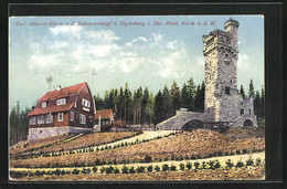 AK Elgersburg /Thüringen, Blick Auf Hohewartskopf Mit Carl-Eduard-Warte - Elgersburg