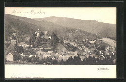 AK Elgersburg, Ortspanorama In Hügellandschaft Mit Blick Auf Die Burg - Elgersburg