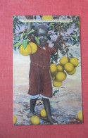 Black Americana     HE'p Yo Se'f To Grapefruit From Sunny Florida  Ref  4942 - Negro Americana