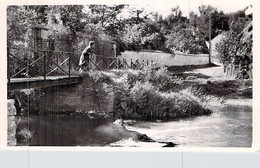 Cpsm 78] Yvelines > Beynes La Mauldre Au Pont Barra Env à Le Floch 1957 - Beynes