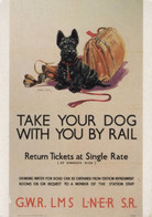 ADVERT: RAILWAY INTEREST ~ SCOTTISH TERRIER (SCOTTY DOG) & GOLF CLUBS ~ GWR, LMS, LNER, SR ~ MABEL GEAR - Publicité