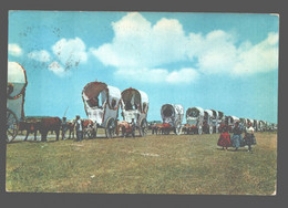 El Rocio - Romeria Del Rocio - Huelva