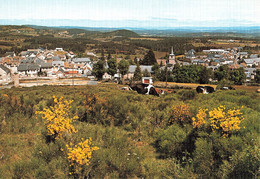 48 Aumont Aubrac Vue Générale Prise Du Sacré Coeur Vache Vaches , Carte Toilée - Aumont Aubrac