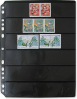 7028 Stamp Refill 6 Divider/1 Packet - 5 Refill Sheet-Imported Taiwan Made (**) LIMITED - Albums Voor Volledige Vellen