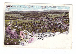 0-6100 MEININGEN, Lithographie 1907, Gesamtansicht, Brfm. Entfernt - Meiningen