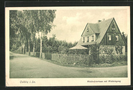 AK Colditz I. Sa., Waldwärterhaus Mit Waldeingang - Colditz