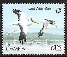 Gambia - MNH ** 1990 :     Great White Pelican  -  Pelecanus Onocrotalus - Pelikanen