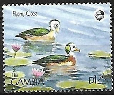 Gambia - MNH ** 1990 :    African Pygmy Goose  -  Nettapus Auritus - Ganzen