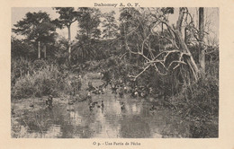 Dahomey A .O .F . (4329) Une Partie De Pêche - Dahomey