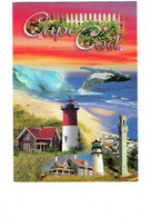 Cpm - Massachusetts > Cape Cod - Phare - Lettre Alphabet Décorée - Baleine à Bosses - 2009 - Cape Cod