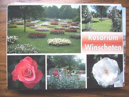 Nederland Holland Pays Bas Winschoten Met Rosarium - Winschoten