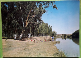 Playa La Chopera , BAILEN Jaen Andalucia Espana,  Carretera General  Madrid Cadiz, 1973, TB - Jaén