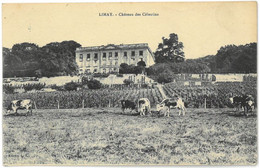 CPA LIMAY - Château Des Célestins - Ed. L.S. - ( Vaches ) - Limay