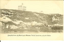 CP Sanatorium De Mont-sur-Meuse " Vue Du Sanatorium , Prise De Godinne " Avec Préo De BRUXELLES 1904 - Gedinne