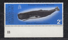 British Antarctic Territorry (BAT) 1977 Whale Conservation 2P Sperm Whale ** Mnh (52233A) - Unused Stamps