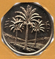 IRAK 50 FILS 1410 (1990)   KM# 128  Palmiers-Dattier - Irak