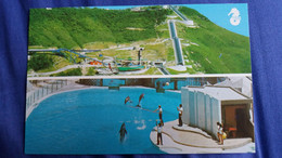 CPM DAUPHIN DAUPHINS THE OCEAN PARK ABERDEEN HONG KONG - Delphine