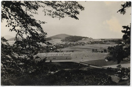 Hörnitz, Blick Zum (vom) Shülerbusch – Year Cca 1920 - Goerlitz