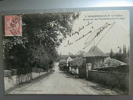 L'HERMENAULT                                    AVENUE DE FONTENAY LE COMTE - L'Hermenault