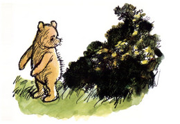 (QQ 32) Winnie-the-Pooh, Also Called Pooh Bear And Pooh,  - Drawing - Cartoon (3 Postcards) - Tortues