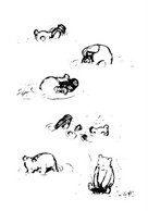 (QQ 32) Winnie-the-Pooh, Also Called Pooh Bear And Pooh,  - Drawing - Cartoon (3 Postcards) - Schildkröten