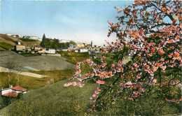 CPSM FRANCE 69 "Vaux En Velin, Vue Générale" - Vaux-en-Velin